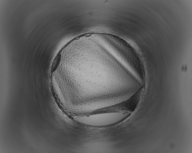 X0000091091248200708271249