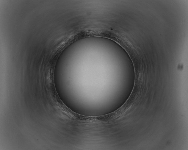 X0000091091250200708271249