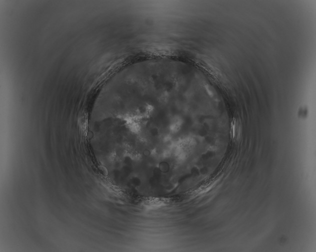 X0000091091251200708271249