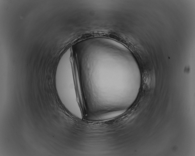 X0000091091252200708271249