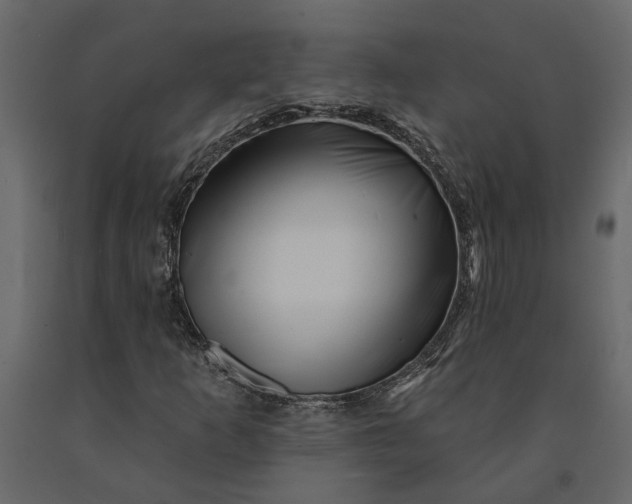 X0000091091253200708271249