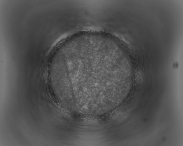 X0000091091254200708271249