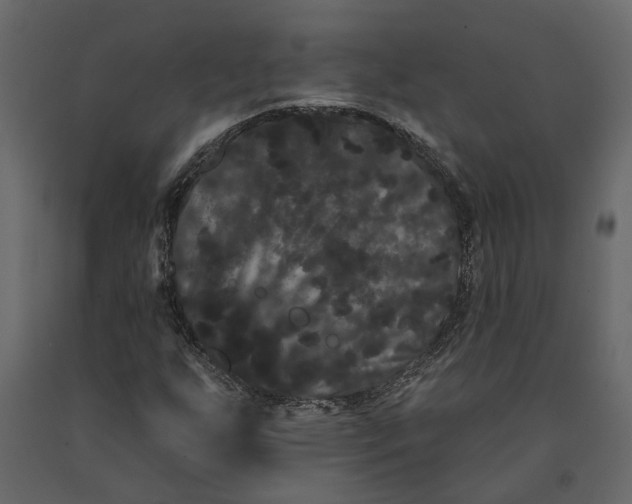 X0000091091255200708271249