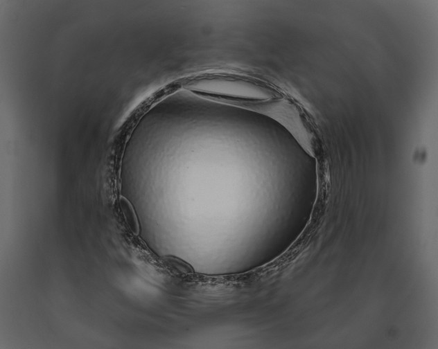 X0000091091256200708271249