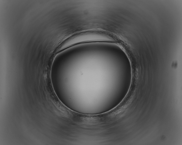 X0000091091257200708271249