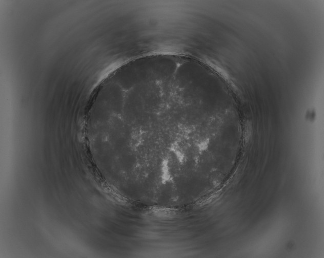 X0000091091258200708271249