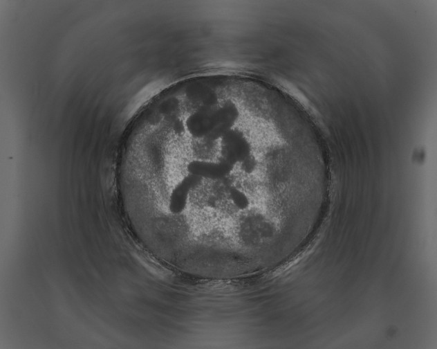 X0000091091259200708271249