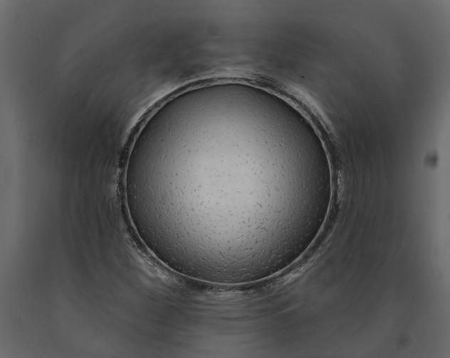 X0000091091260200708271249