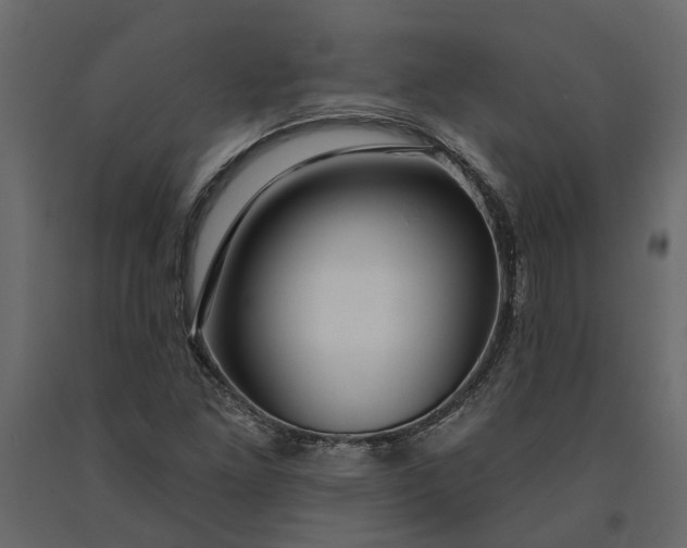 X0000091091261200708271249