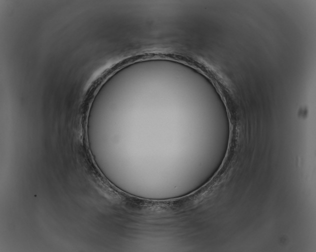 X0000091091262200708271249