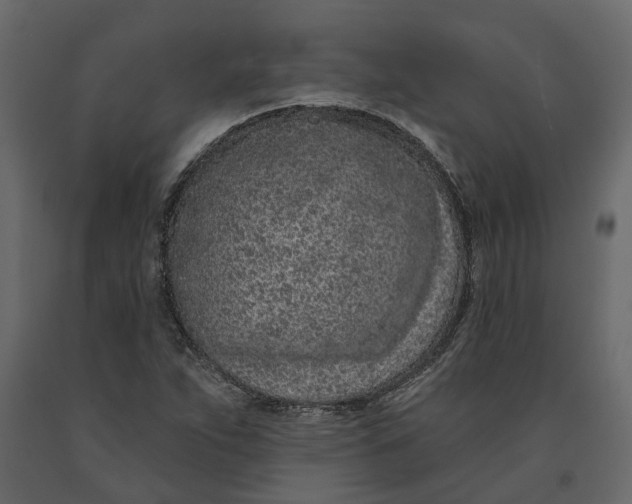 X0000091091263200708271249