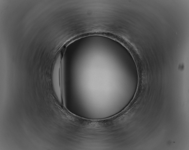 X0000091091265200708271249