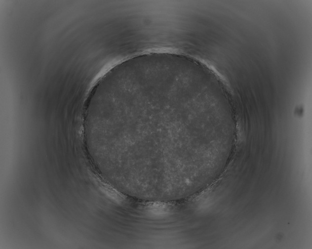 X0000091091266200708271249