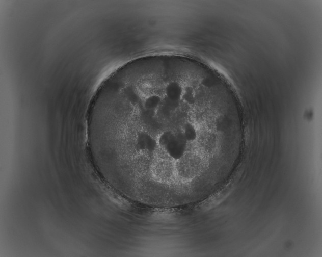 X0000091091267200708271249