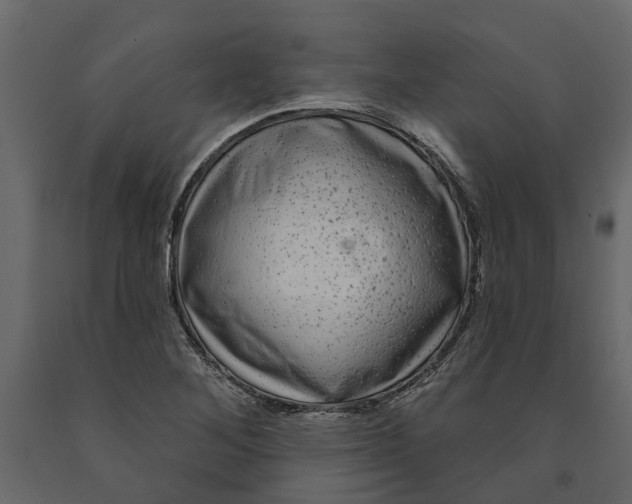 X0000091091268200708271249