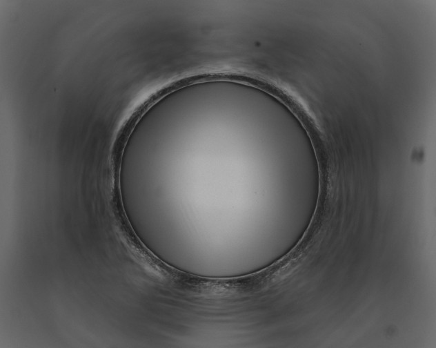 X0000091091270200708271248