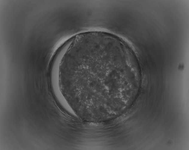 X0000091091271200708271248