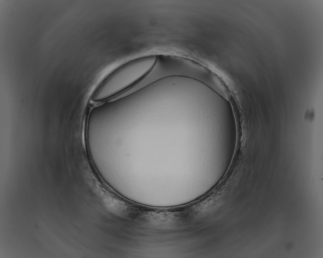 X0000091091272200708271248