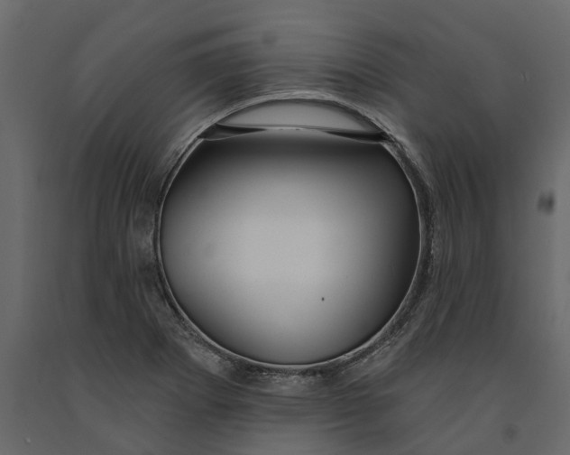 X0000091091273200708271248