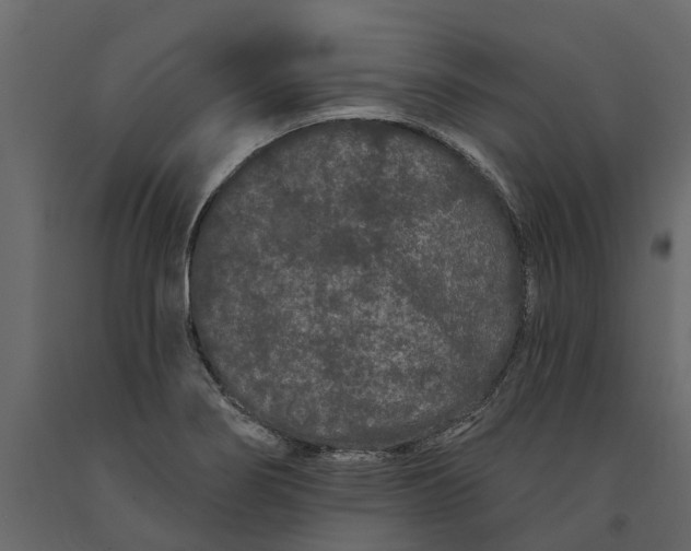 X0000091091274200708271248