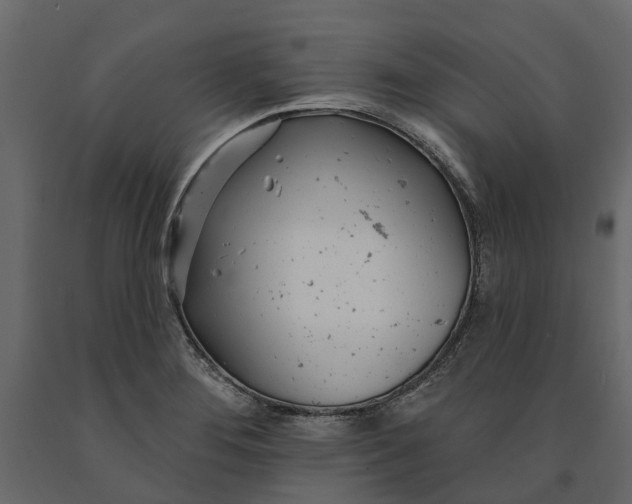 X0000091091276200708271248