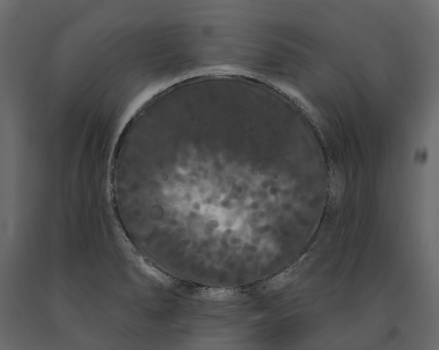 X0000091091278200708271248