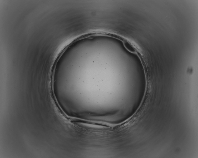 X0000091091279200708271248