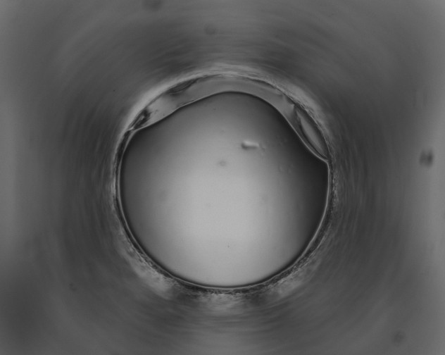 X0000091091280200708271248