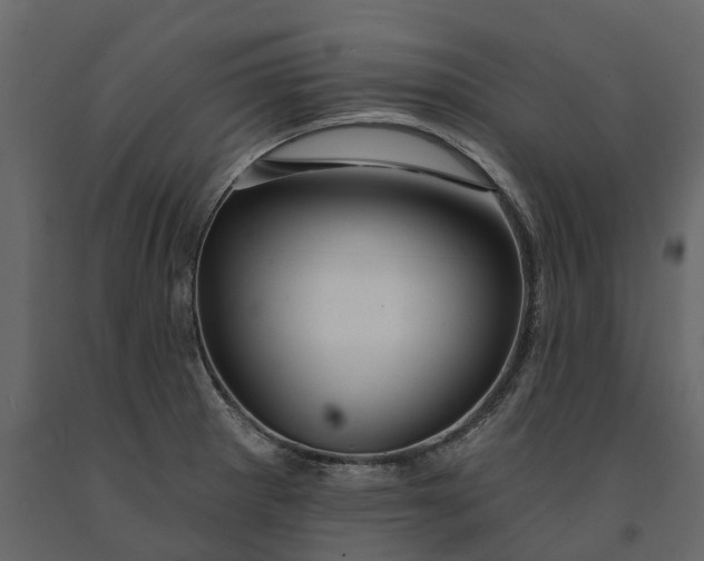 X0000091091281200708271248