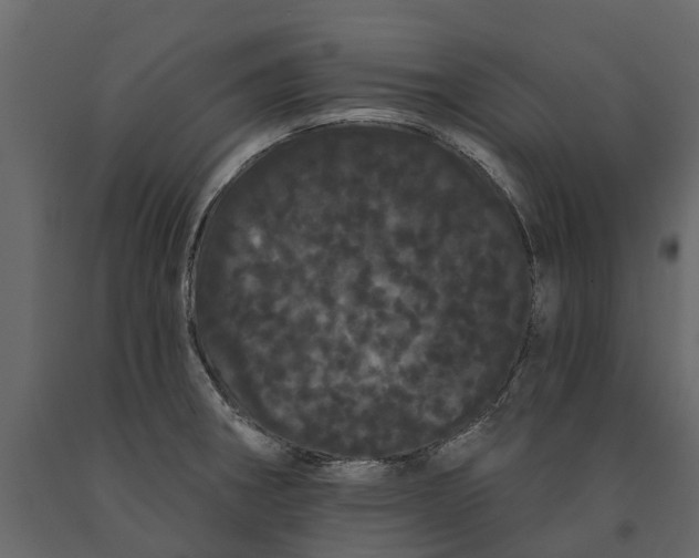 X0000091091282200708271248