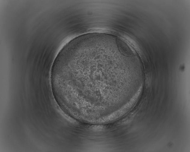 X0000091091283200708271248