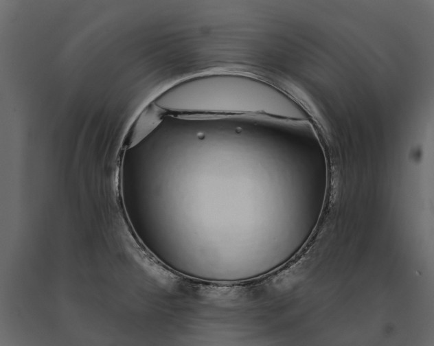 X0000091091284200708271248