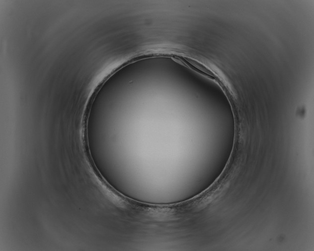 X0000091091285200708271248