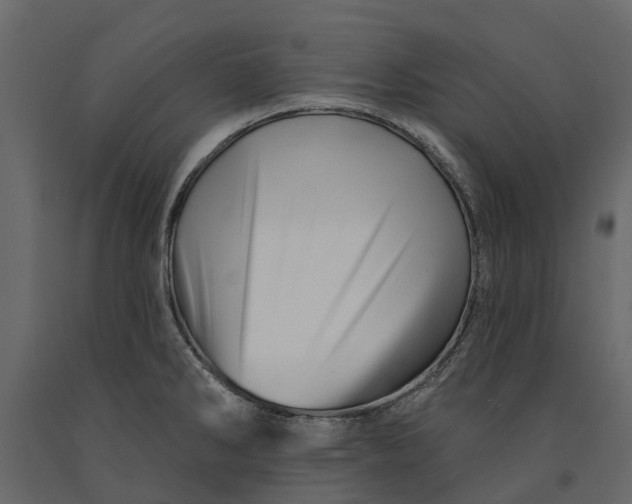 X0000091091286200708271248