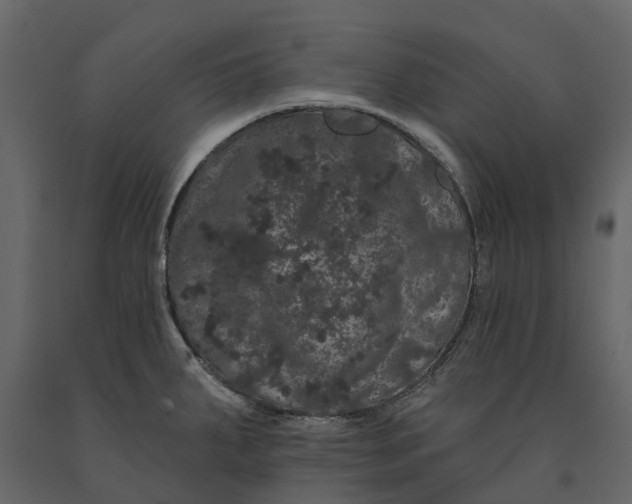 X0000091091287200708271248