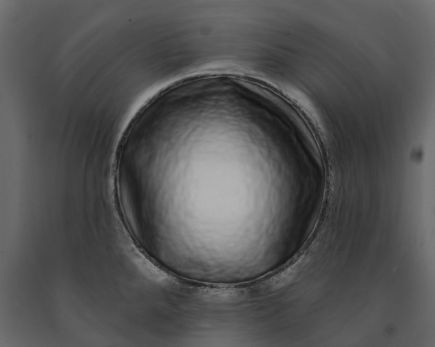 X0000091091288200708271248