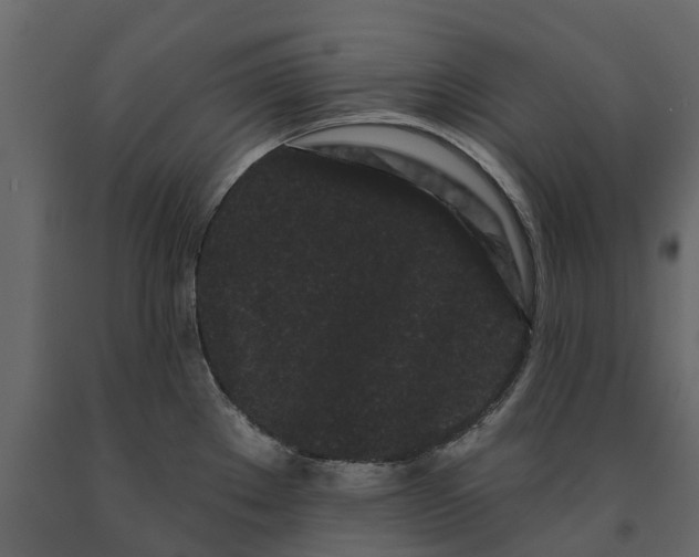 X0000091091289200708271248