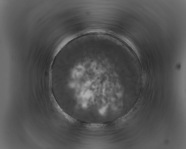 X0000091091290200708271248