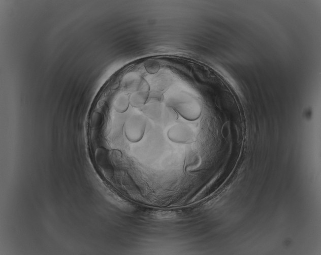 X0000091091291200708271248