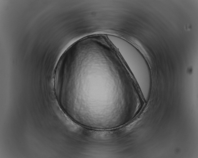 X0000091091292200708271248