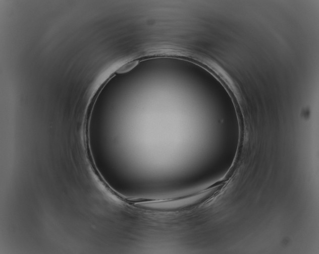 X0000091091293200708271248