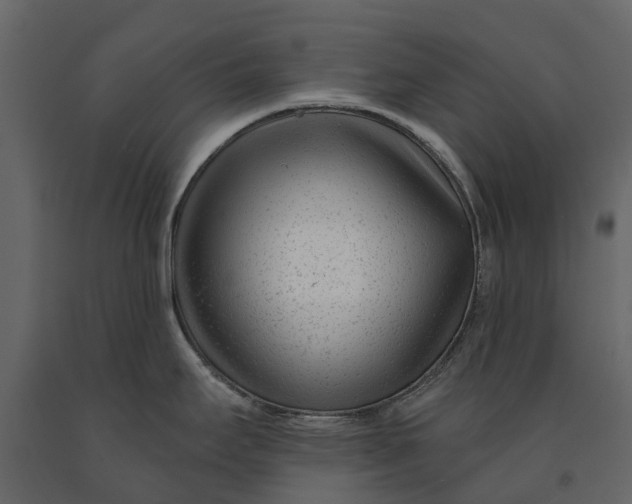 X0000091091295200708271248