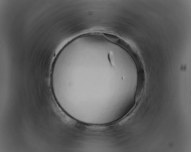 X0000091091296200708271248