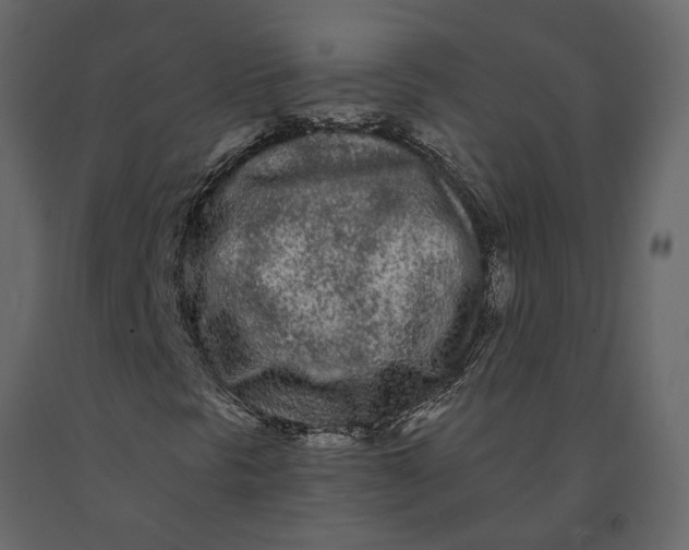 X0000091091297200708271248