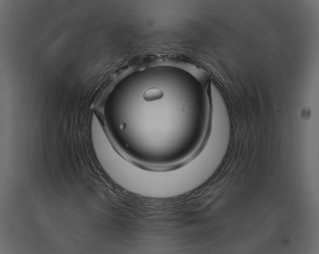 X0000091091298200708271248