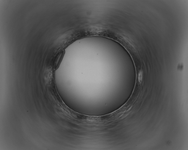 X0000091091299200708271248