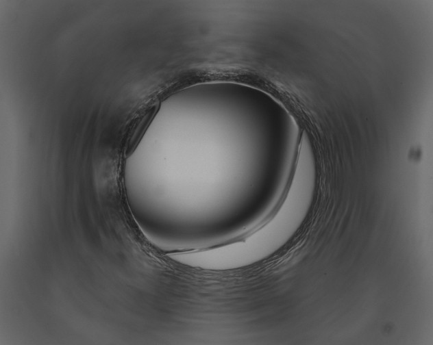 X0000091091300200708271248