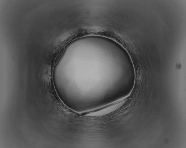 X0000091091301200708271248