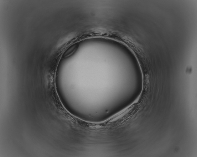 X0000091091302200708271248