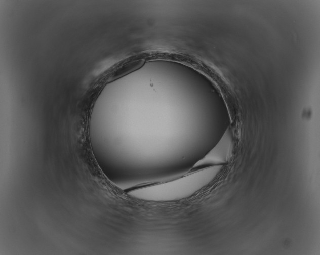 X0000091091303200708271248